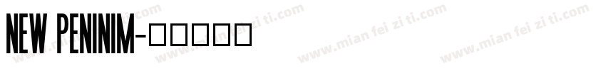 New Peninim字体转换